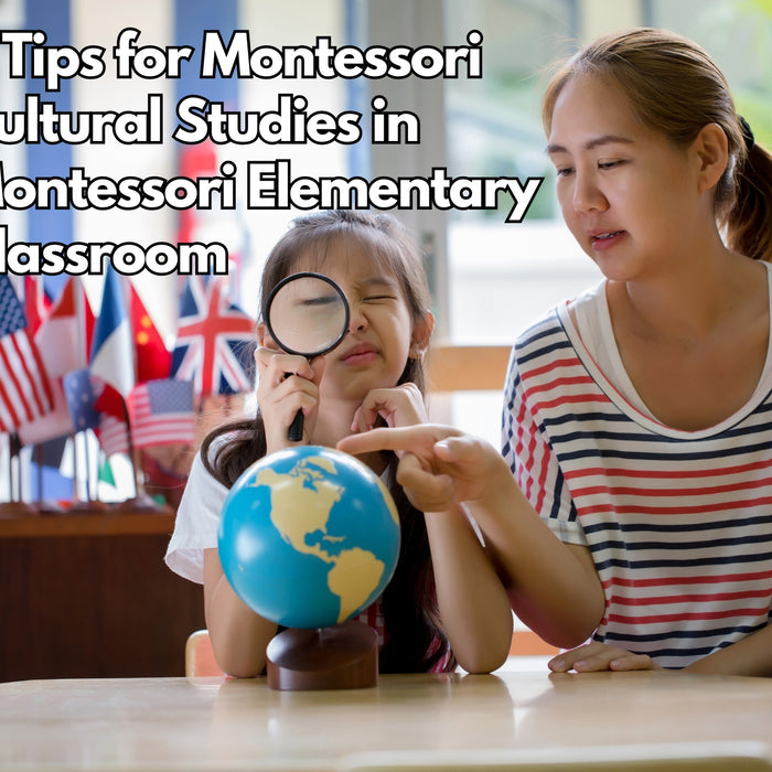 7 Tips for Montessori Cultural Studies in Montessori Elementary Classroom