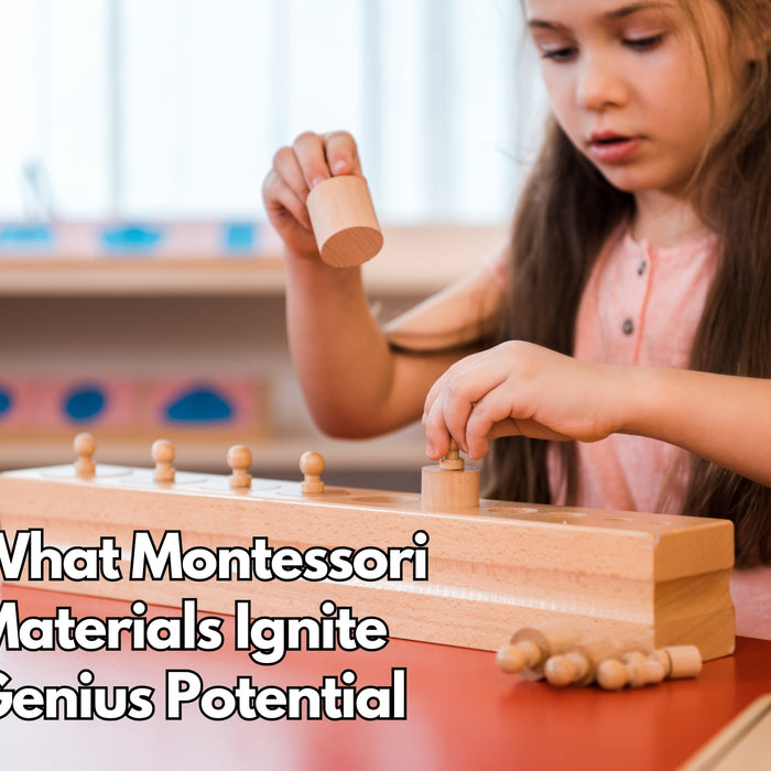 What Montessori Materials Ignite Genius Potential