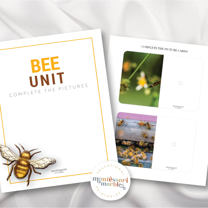 Bees Complete the Pictures