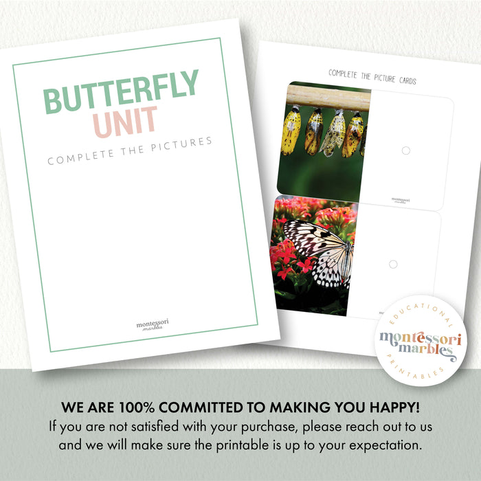 Butterfly Complete The Pictures