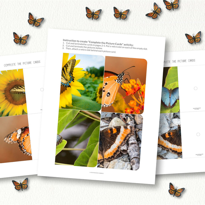 Butterfly Complete The Pictures