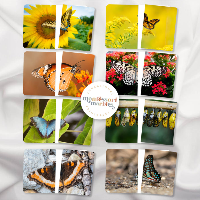 Butterfly Mini Bundle