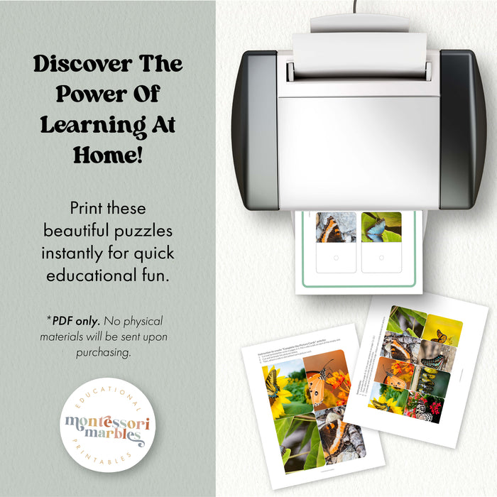 Butterfly Complete The Pictures