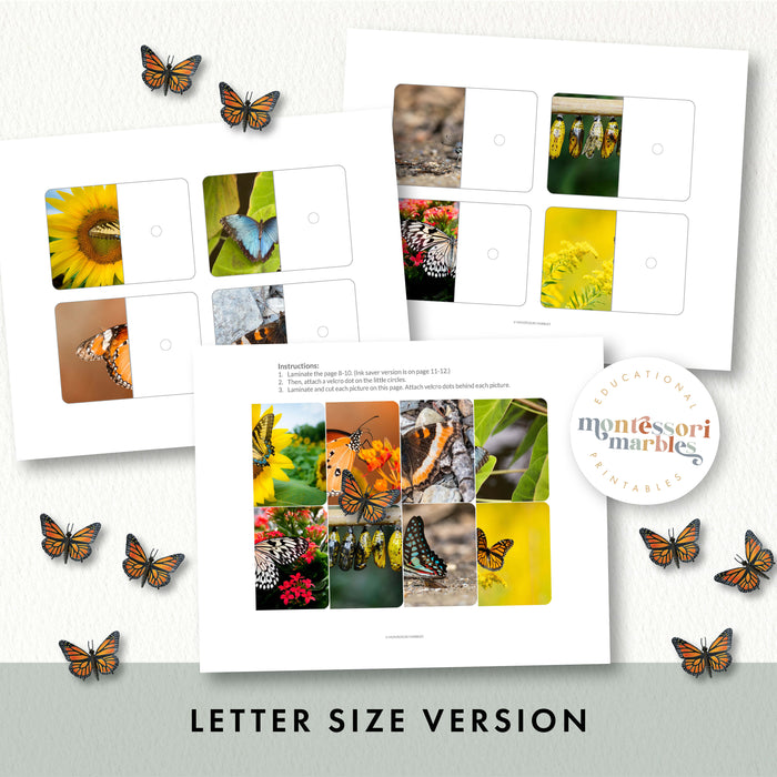 Butterfly Complete The Pictures