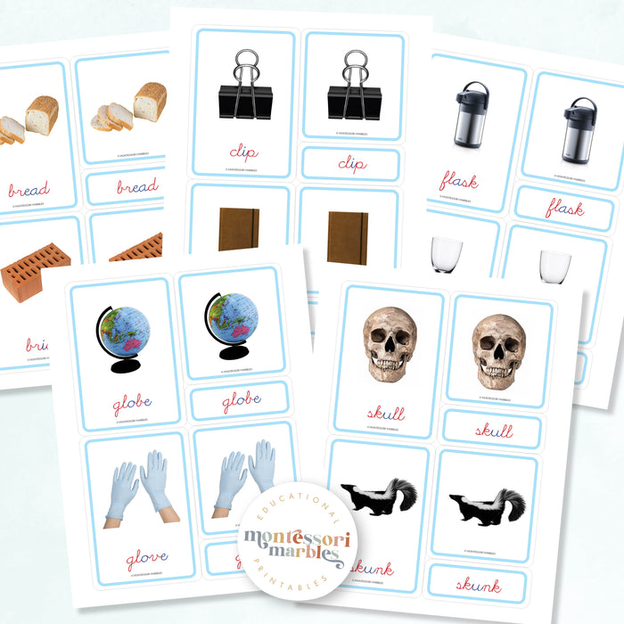MONTESSORI BLUE SERIES Cursive Nomenclature Cards