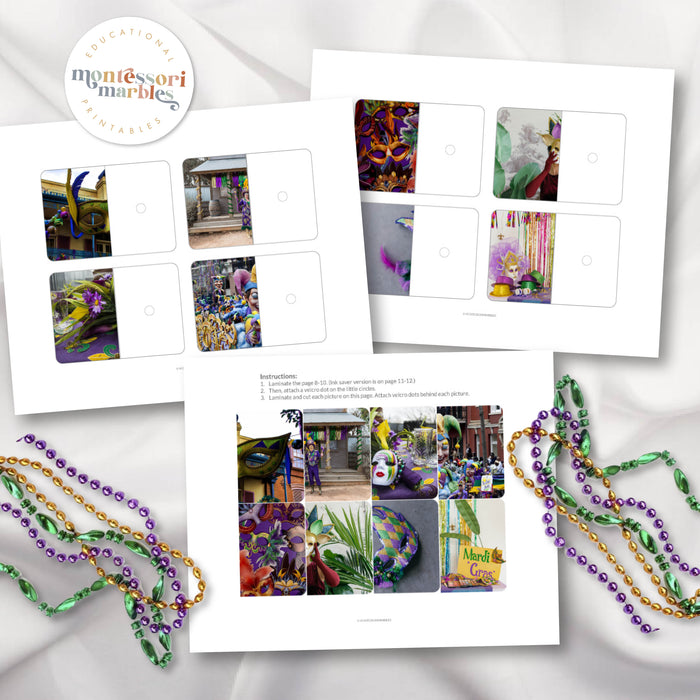 Mardi Gras Complete the Pictures