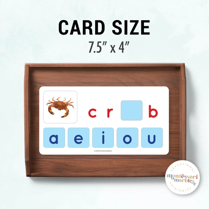 Montessori Blue Series Missing Vowels