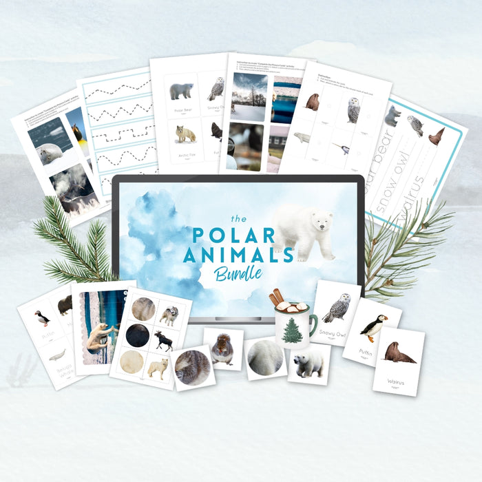 Polar Animals Bundle