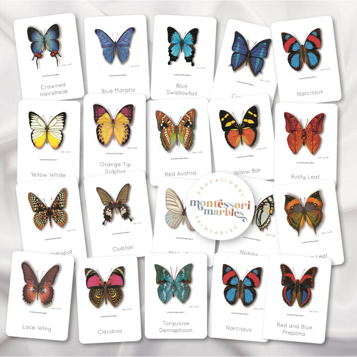 Butterfly Mini Bundle