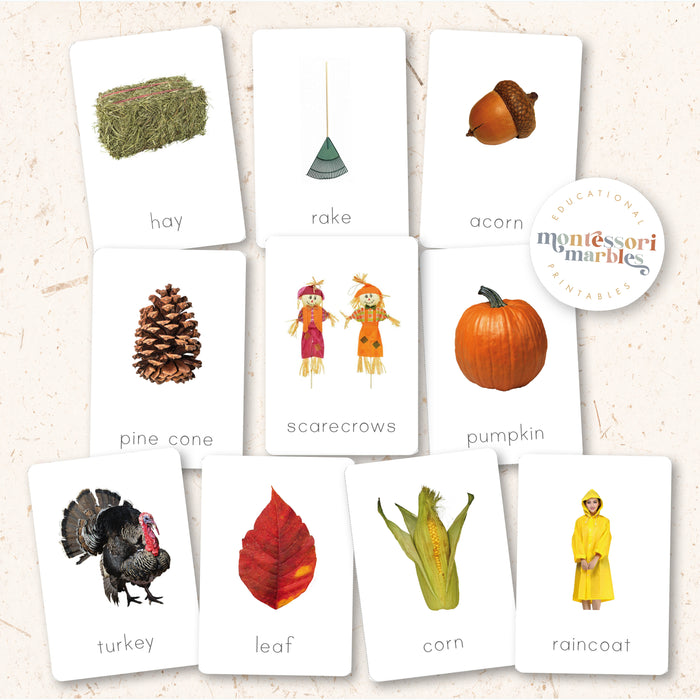Fall Montessori Nomenclature Cards