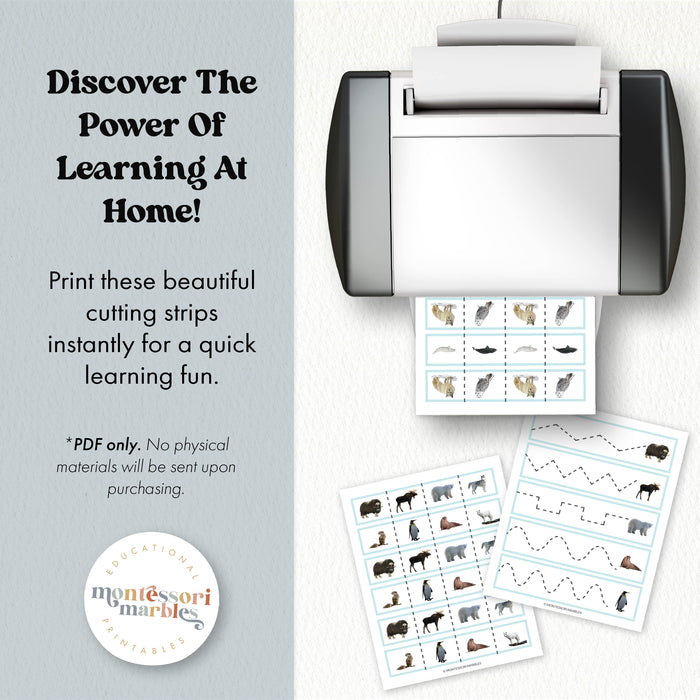 Polar Animals Cutting Strips