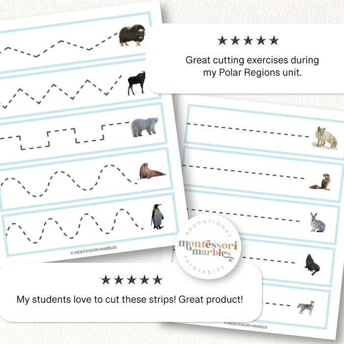 Polar Animals Cutting Strips