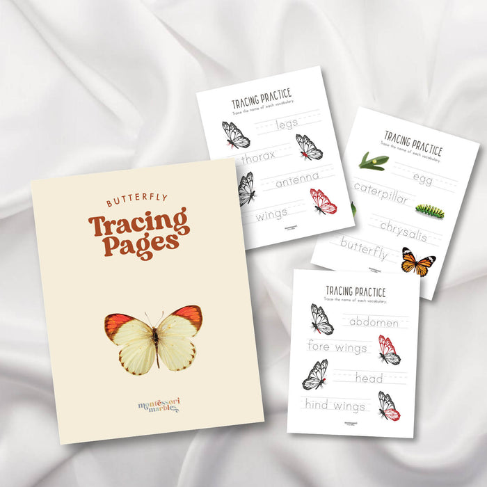 Butterfly Tracing Pages