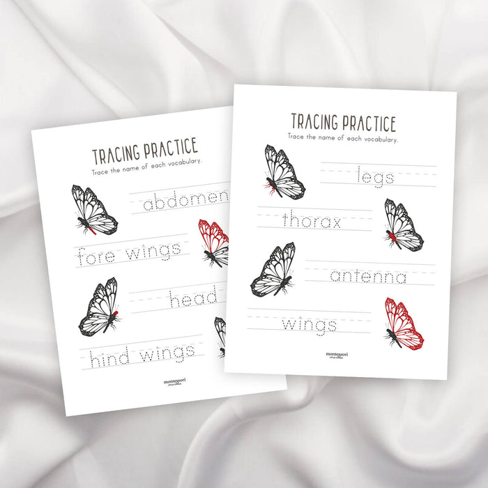 Butterfly Tracing Pages