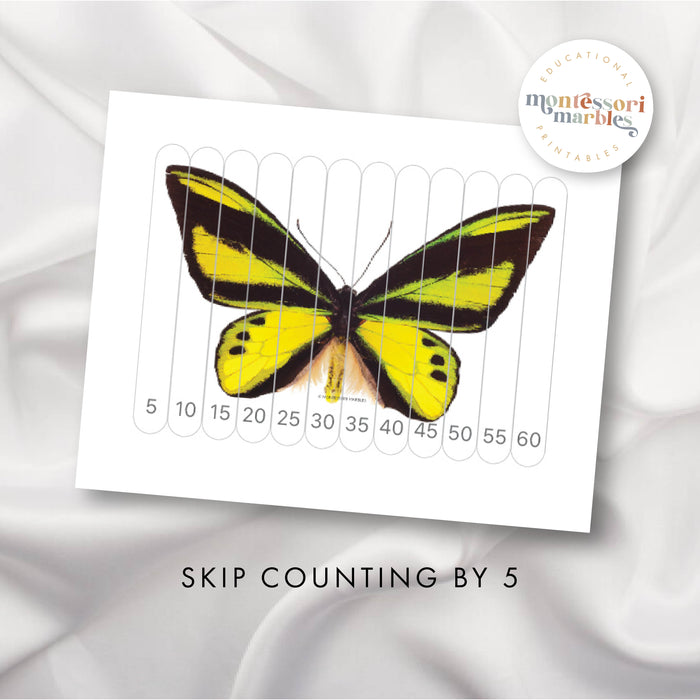 Butterfly Skip Counting