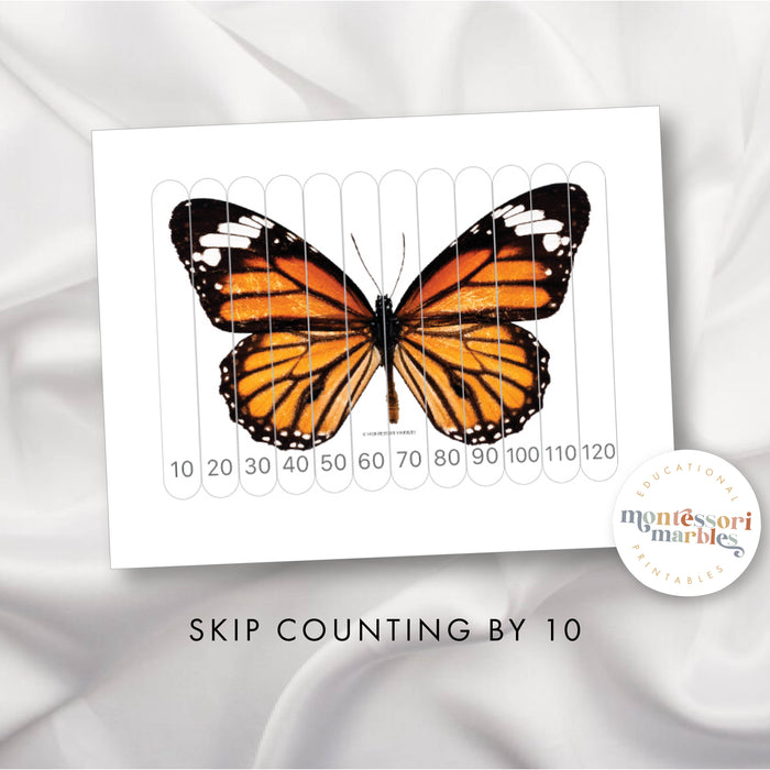 Butterfly Skip Counting