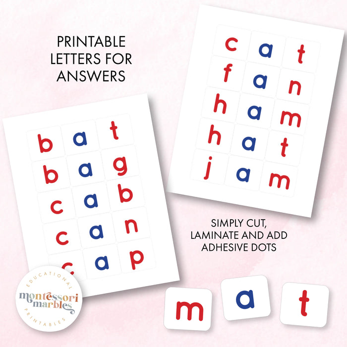 Montessori Pink Series Jumbled Words for Short "A"