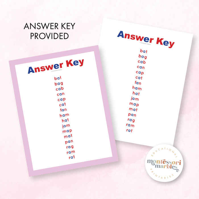 Montessori Pink Series Jumbled Words for Short "A"