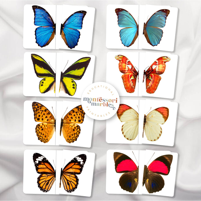 Butterfly Mini Bundle