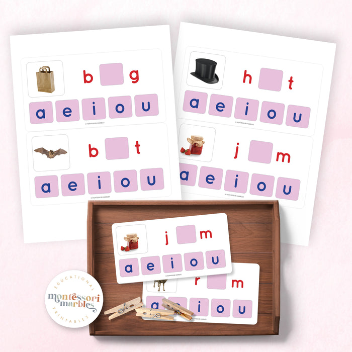 Montessori Pink Series Missing Vowels Bundle