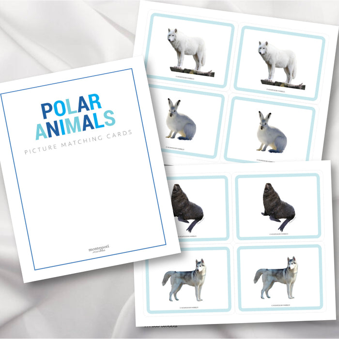 Polar Animals Picture Cards