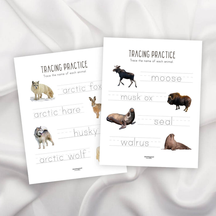 Polar Animals Tracing Practice