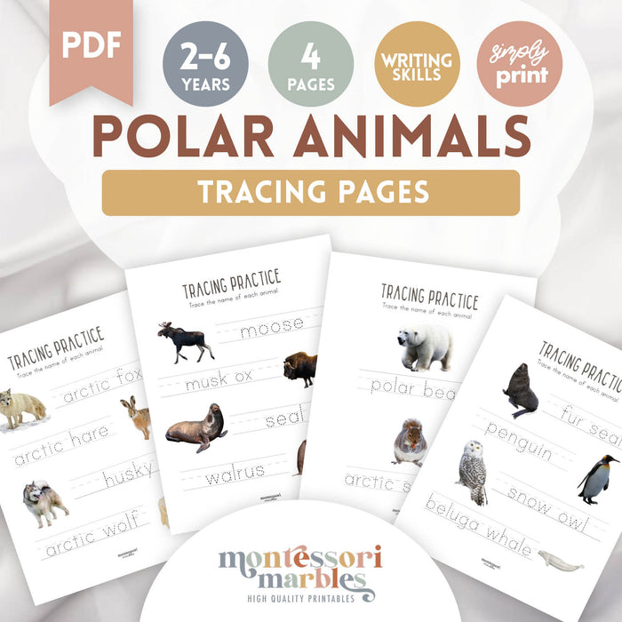 Polar Animals Tracing Practice