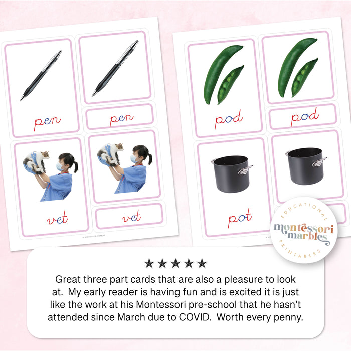 Montessori Pink Series Cursive Nomenclature Cards