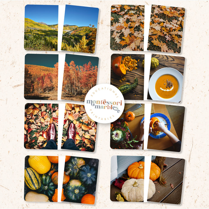 Fall Complete the Pictures