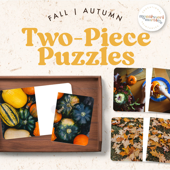 Fall Complete the Pictures