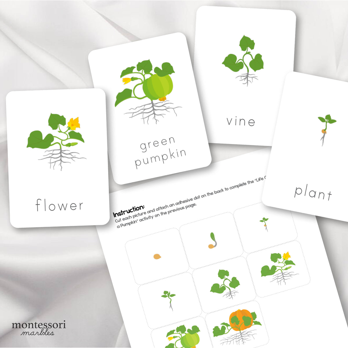Pumpkin Life Cycle | Montessori Printable Activity Resources ...