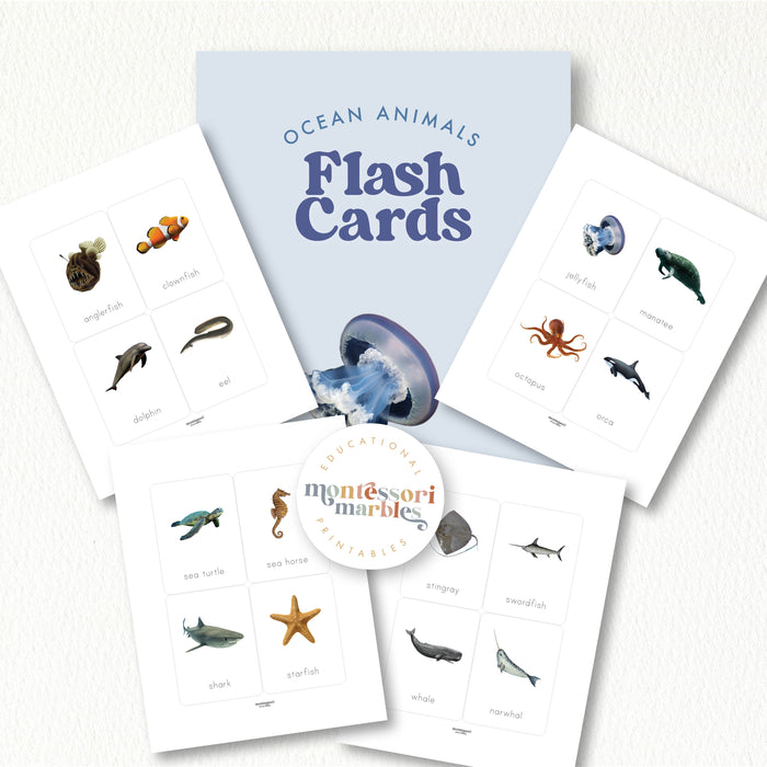 Ocean Animals Flash Cards