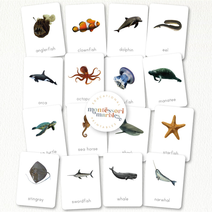 Ocean Animals Flash Cards
