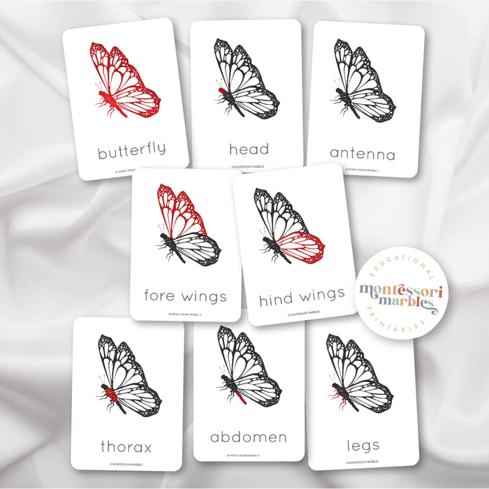 Butterfly Mini Bundle