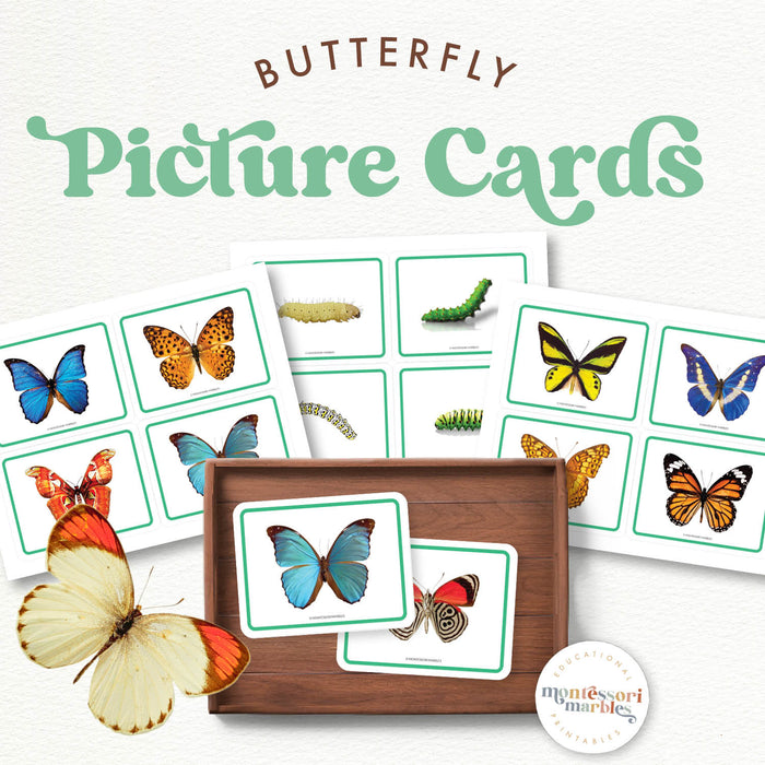 Butterfly Picture Cards