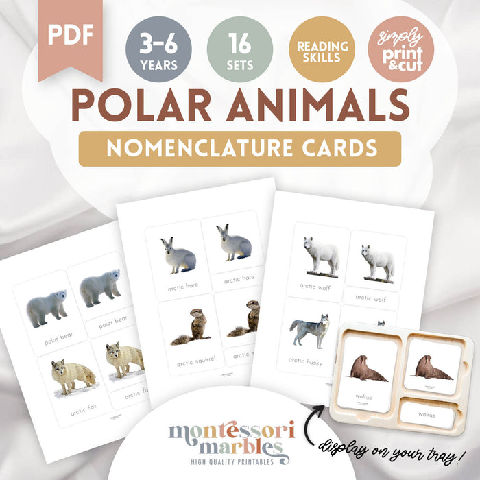 Polar Animals Nomenclature Cards