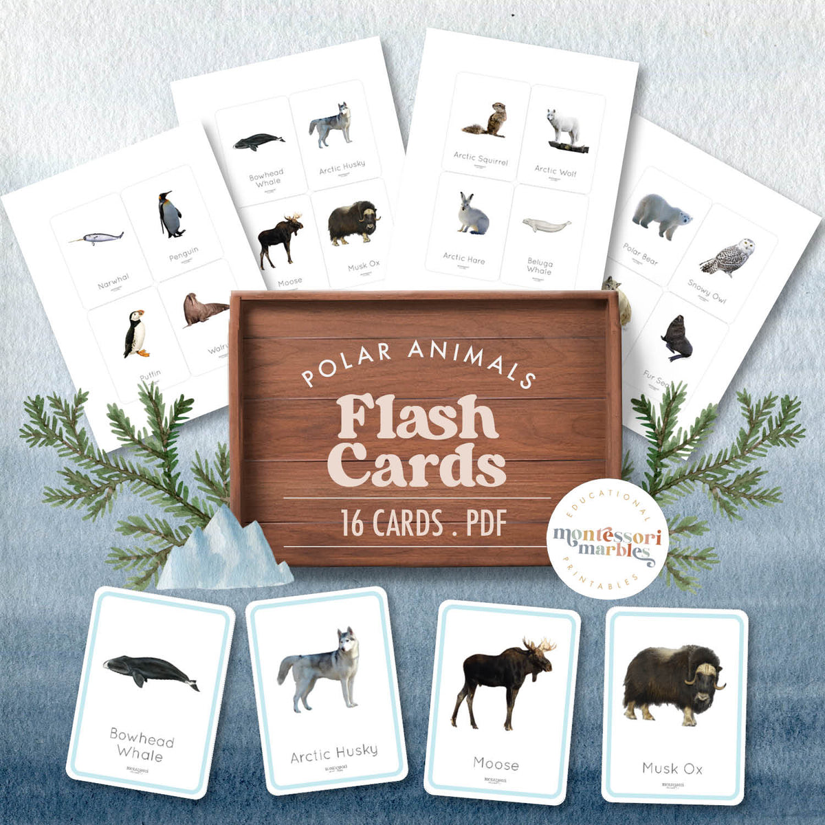 Polar Animals Flash Card | Montessori Printable Resources – Montessori Marbles for Free Printable Montessori Animal Cards