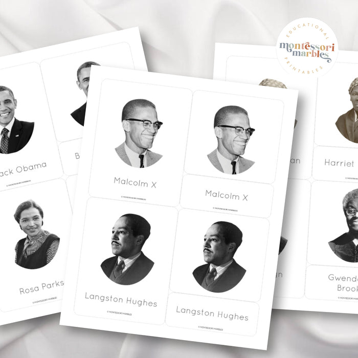 Black History Month Nomenclature Cards