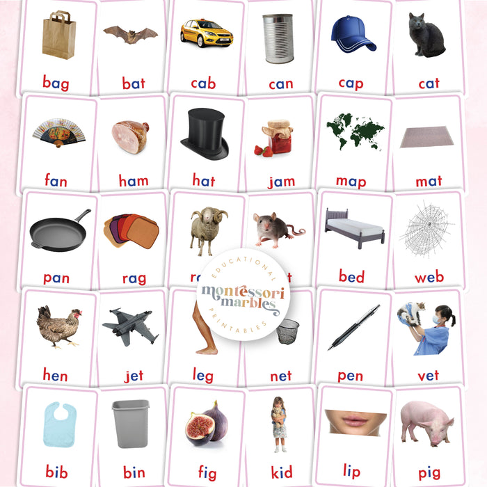 Montessori Pink Series Nomenclature Cards