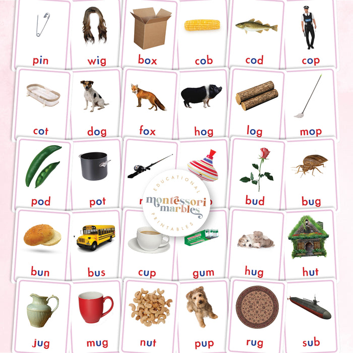 Montessori Pink Series Nomenclature Cards