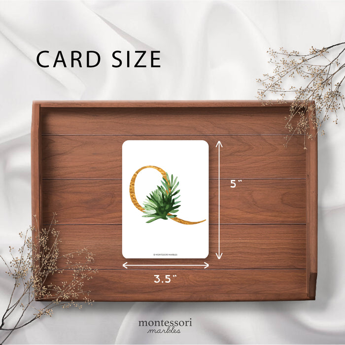 Tropical Alphabet Cards
