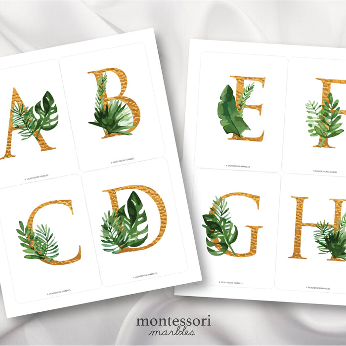 Tropical Alphabet Cards
