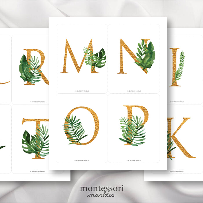 Tropical Alphabet Cards