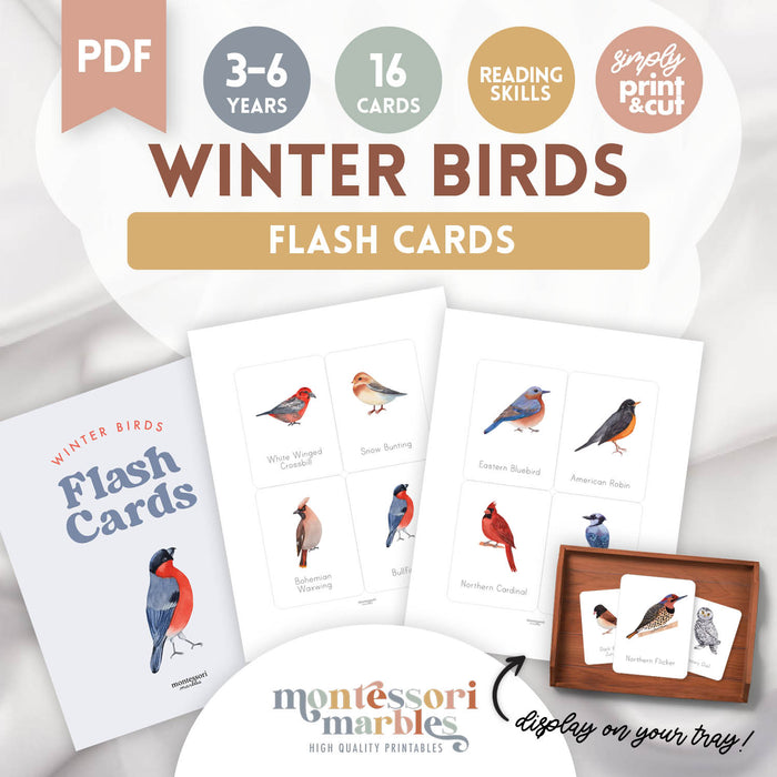 Winter Birds Flash Cards
