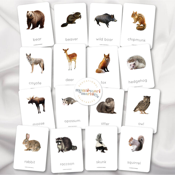 Woodland Animals Flash Cards
