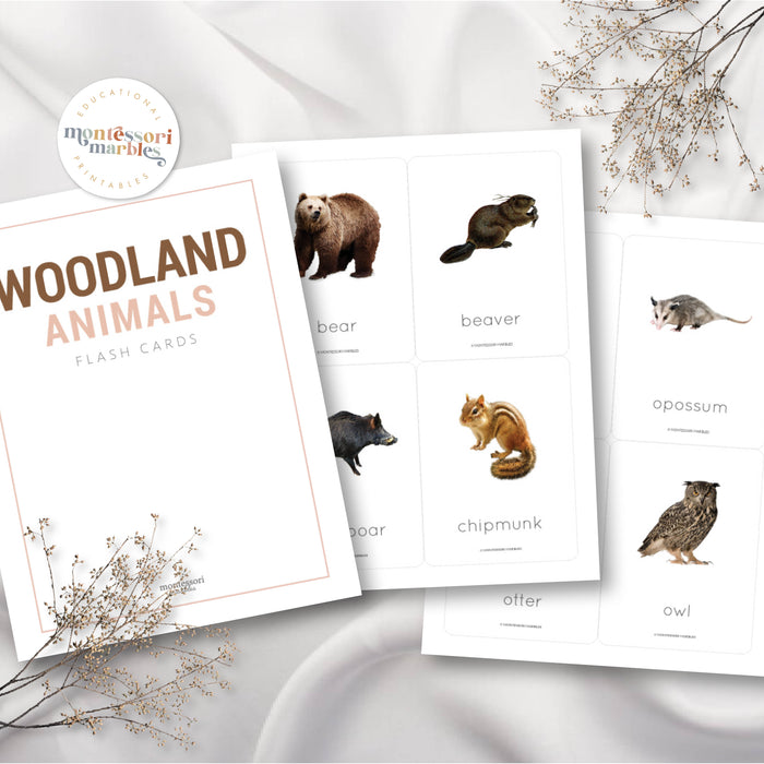 Woodland Animals Flash Cards
