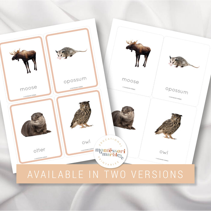 Woodland Animals Flash Cards
