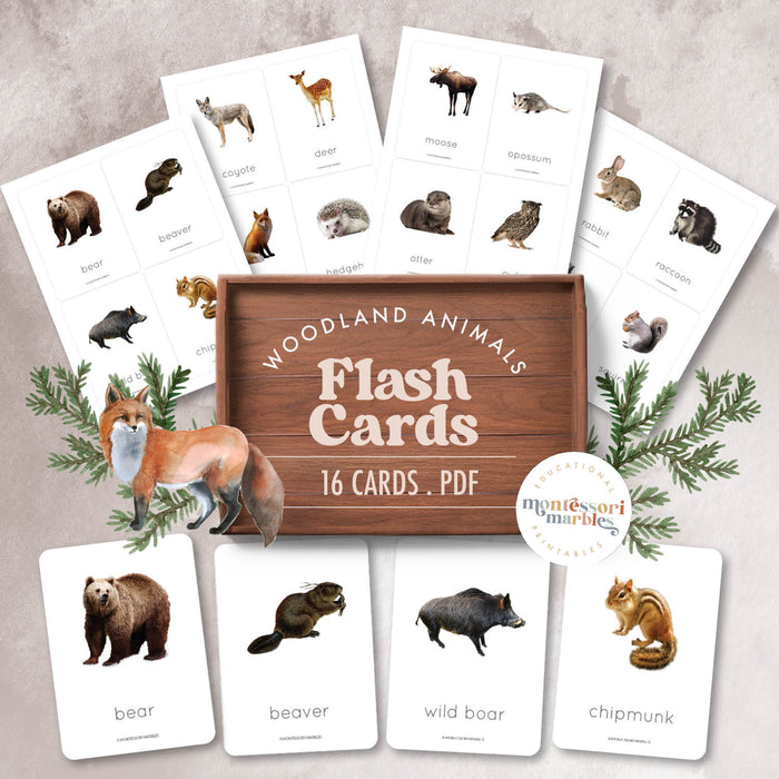 Woodland Animals Flash Cards