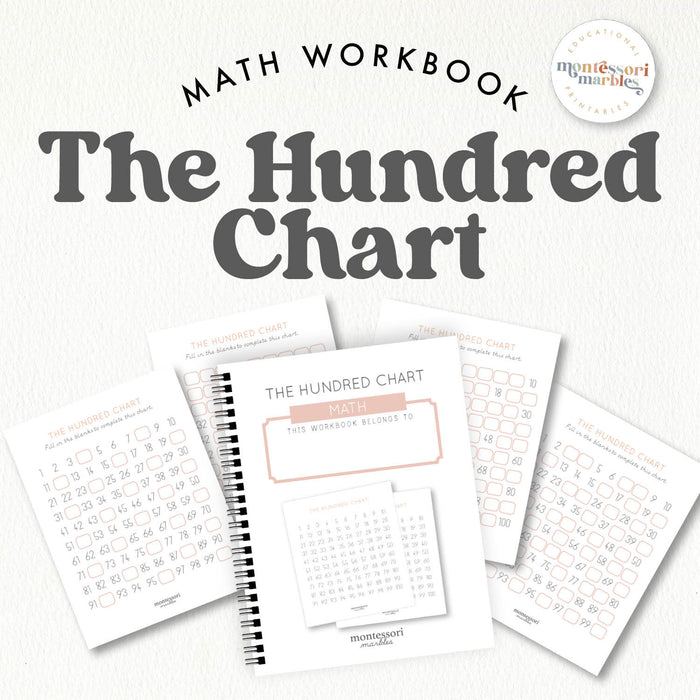 The Hundred Chart Workbook