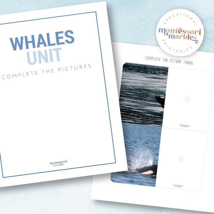 Whales Complete The Pictures